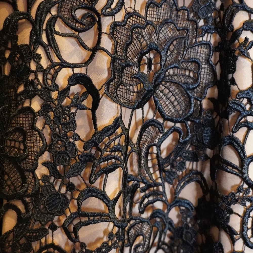 Monique Lhuillier gown formal dress black florallace overlay couture plunge neck - Picture 5 of 16